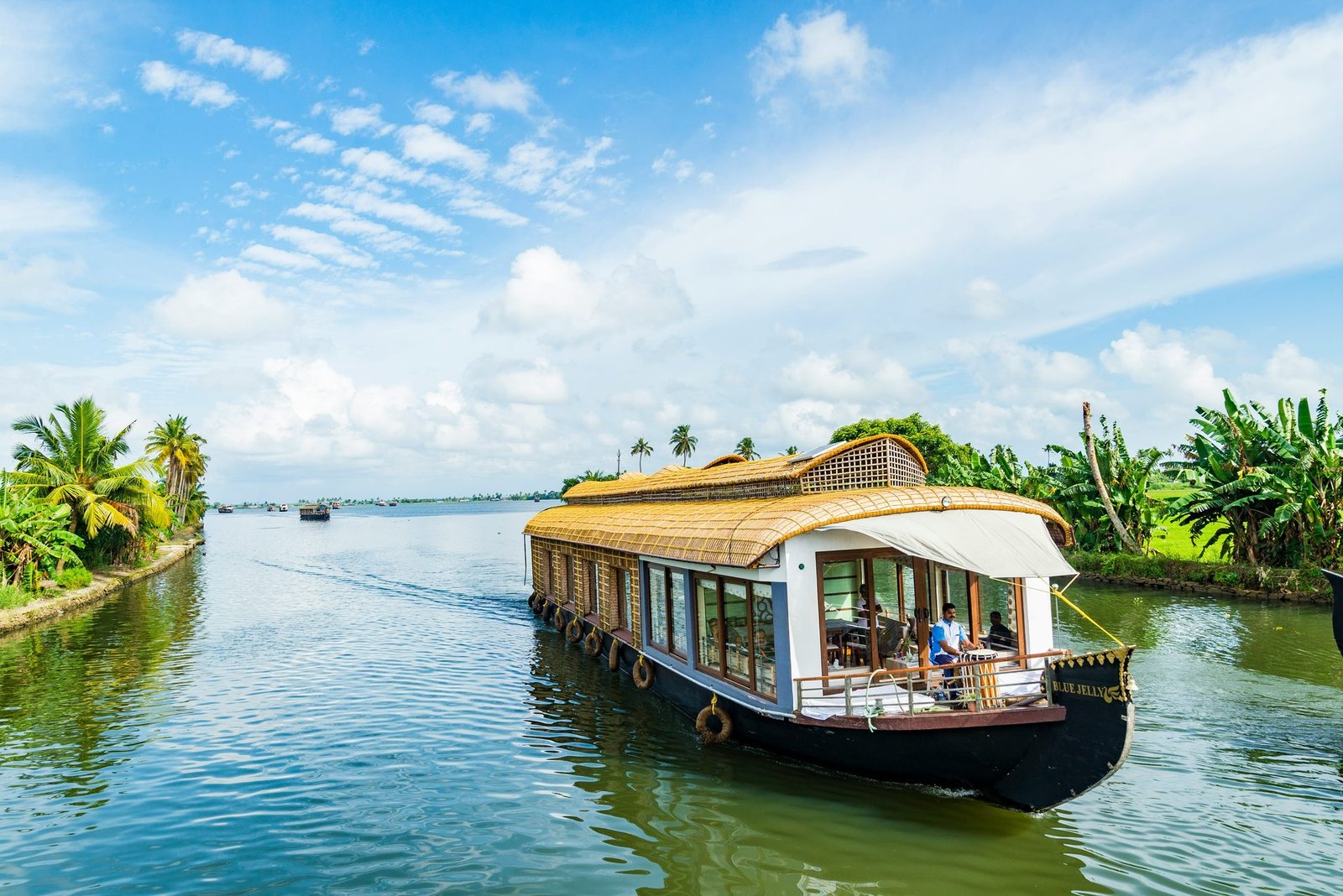 Alleppey Backwater Houseboat Cruise experience