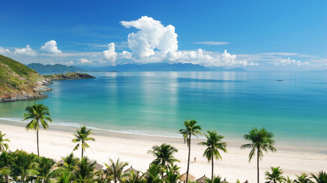 Palm Grove Beach Resort