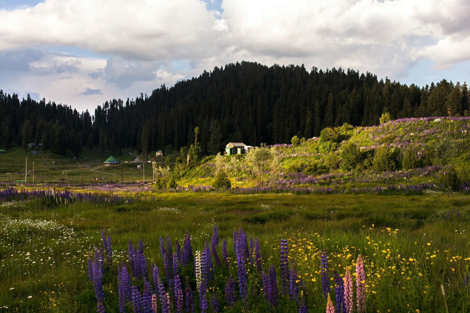 Gulmarg Gondola Cable Car Ride experience