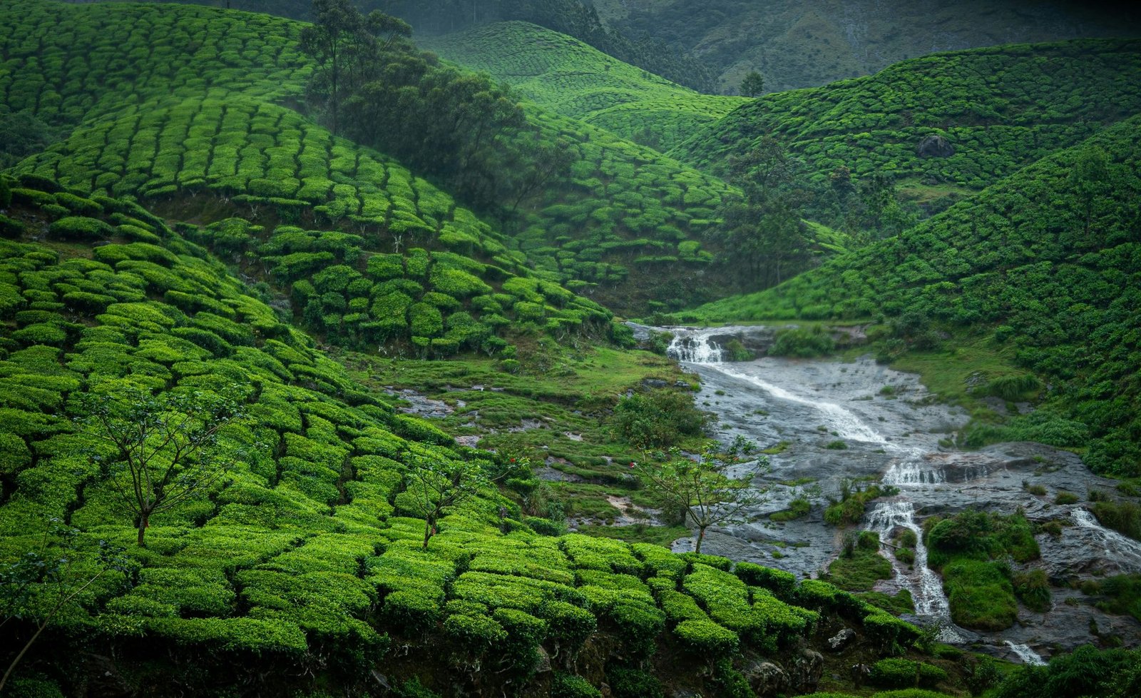 Traditional Ayurveda Massage experience